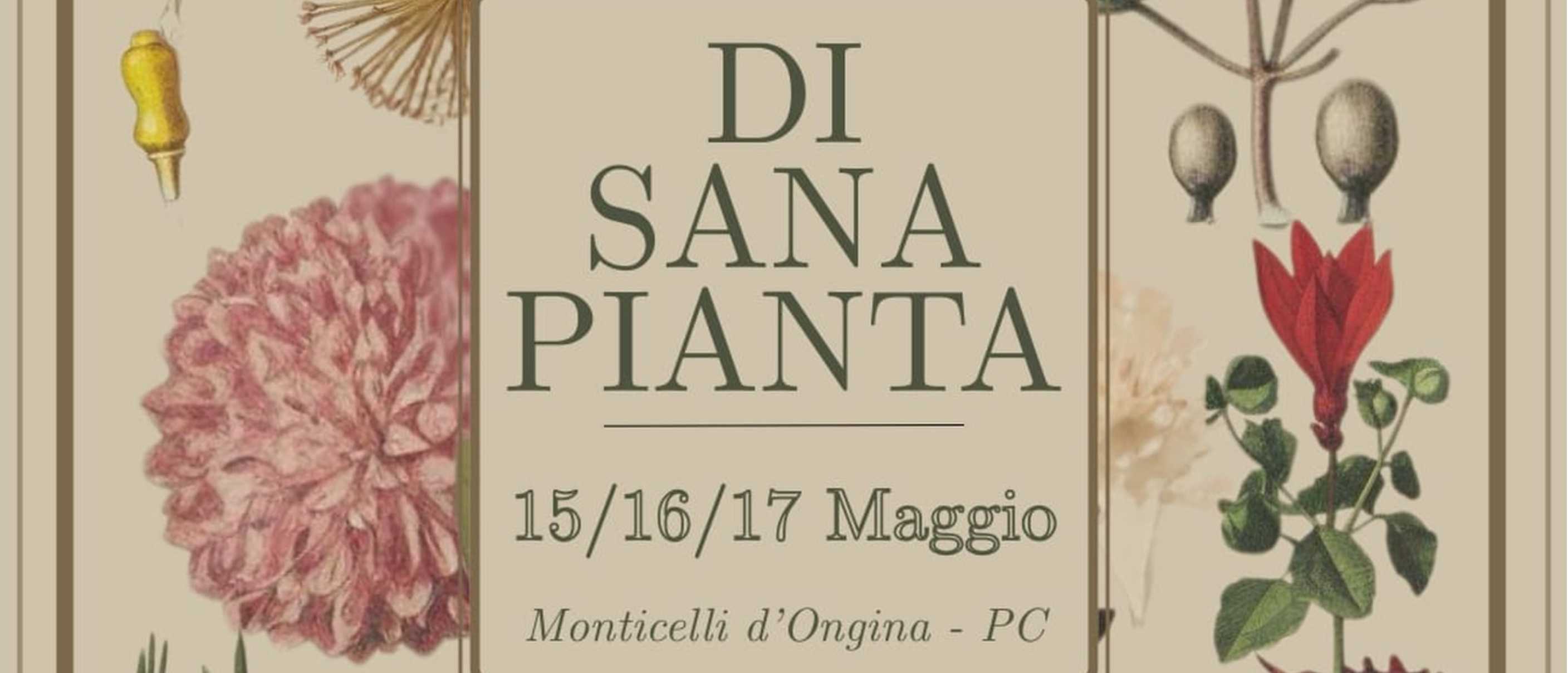 53° Fiera di Maggio - Di Sana Pianta