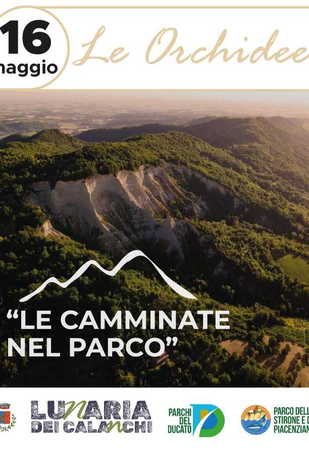 Le Camminate nel Parco – Le Orchidee