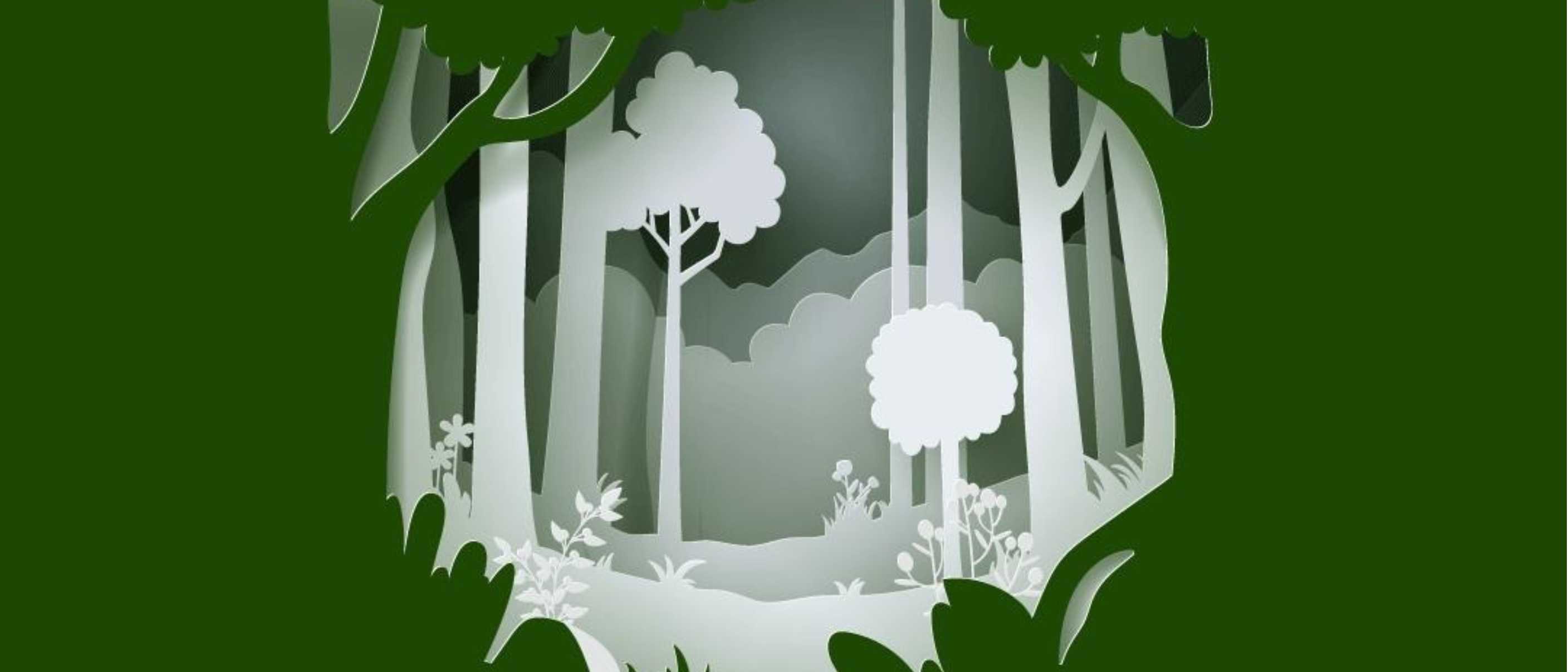 Leggere il bosco