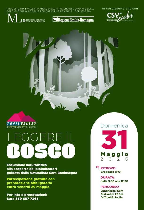 Leggere il bosco