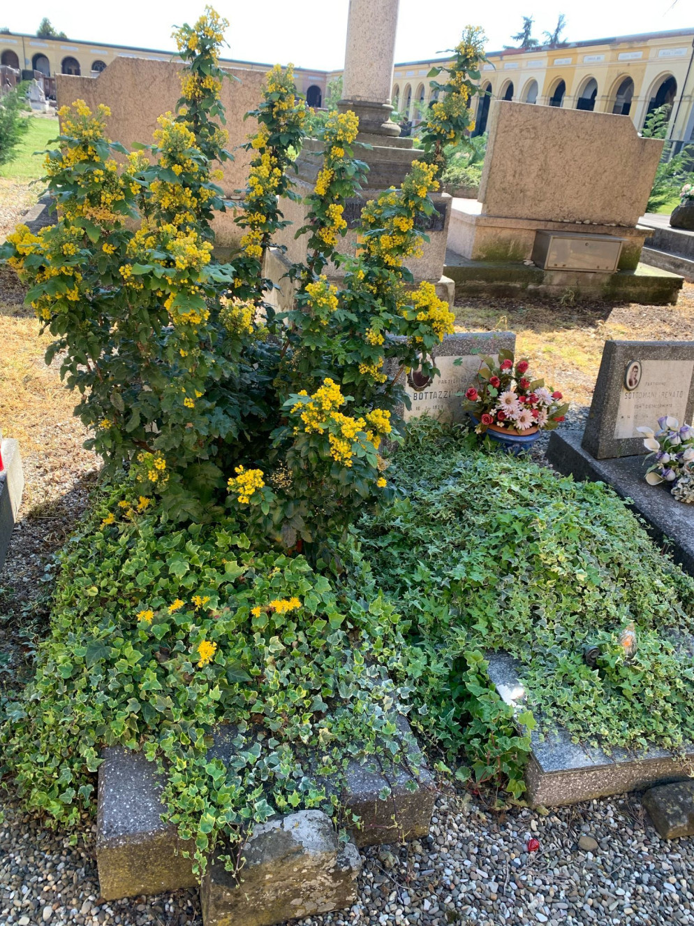 Edera Ed Erbacce Sommergono Le Tombe Dei Partigiani - Foto 10