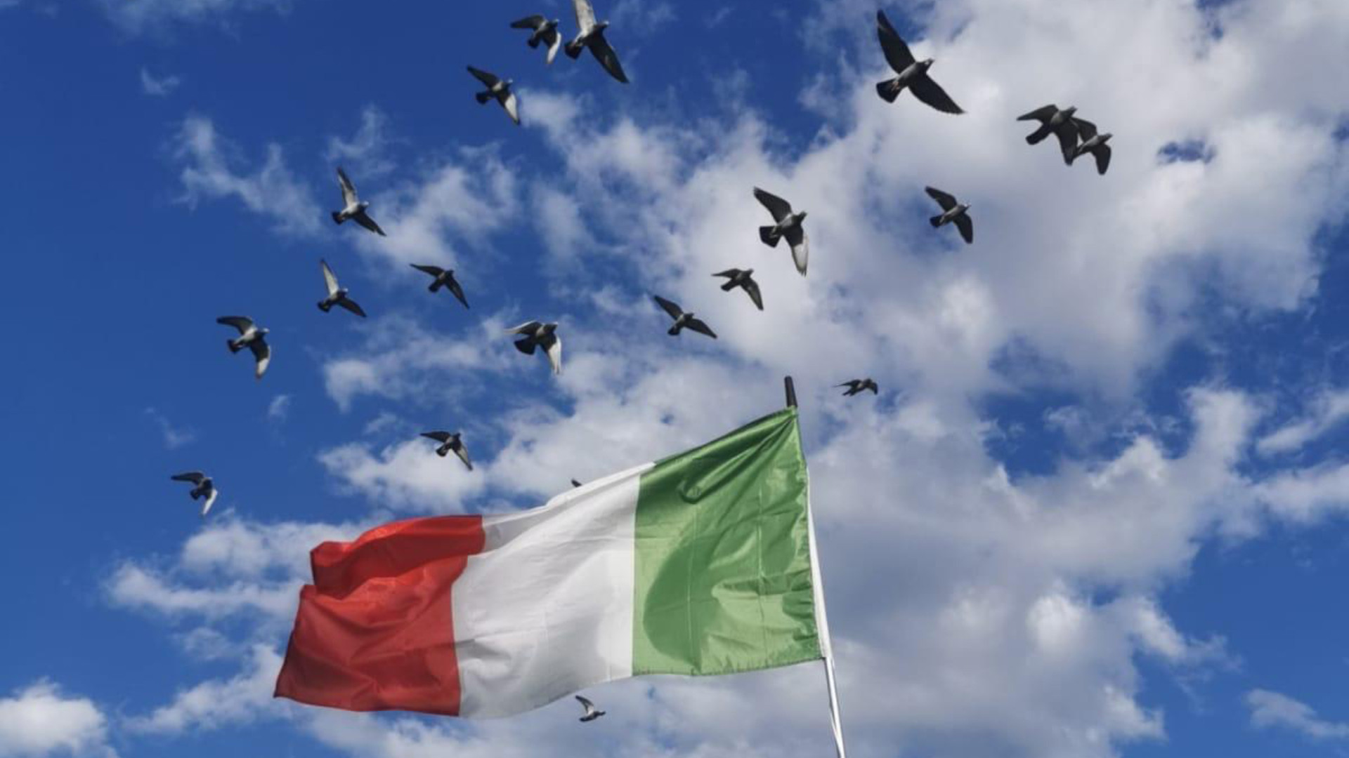 I piccioni viaggiatori volano per l'Assofa