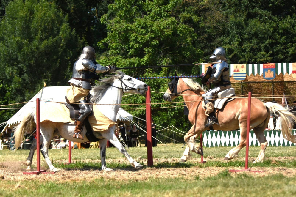 E c'erano anche i cavalieri milanesi di Re Nero Asd (foto Zangrandi)