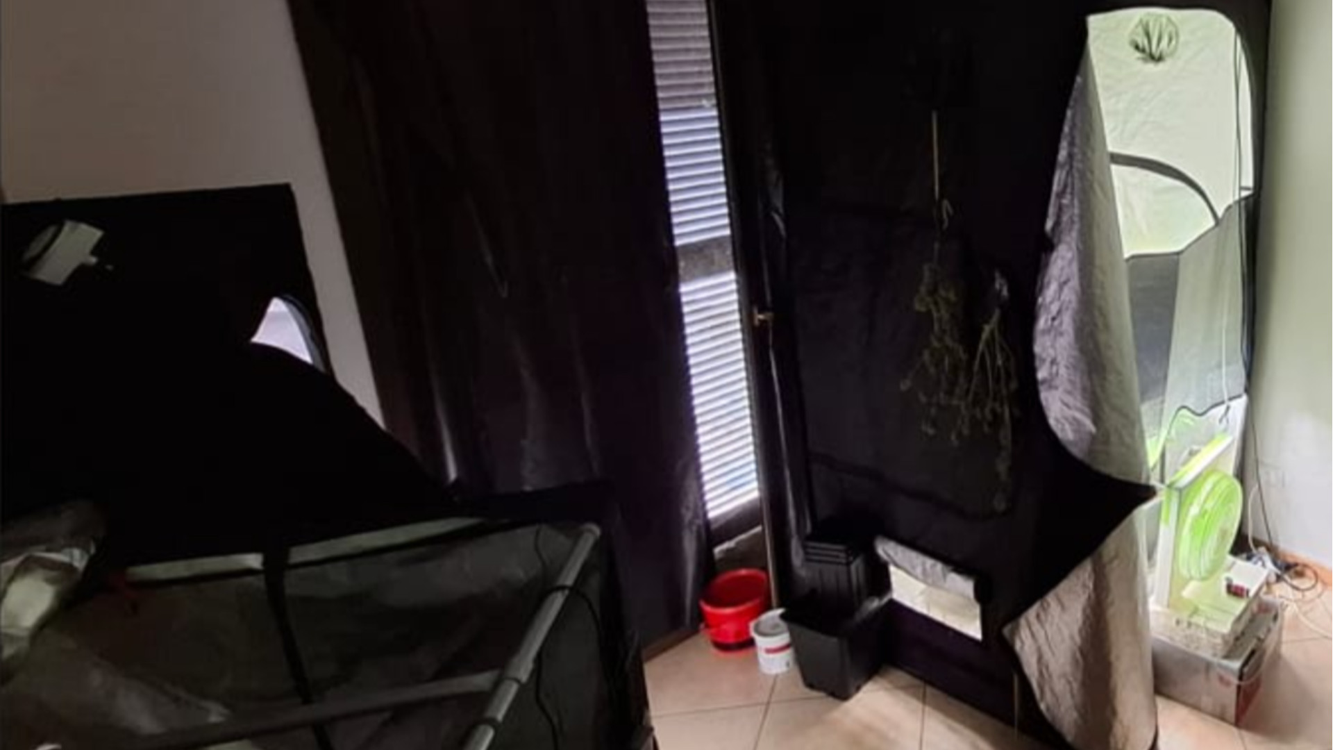 Aveva una serra di marijuana in salotto: arrestato