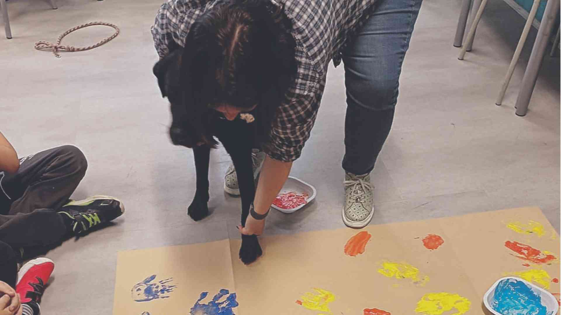 Progetti pet therapy per tutti gli alunni: «Cerchiamo aiuto per ottenere fondi»