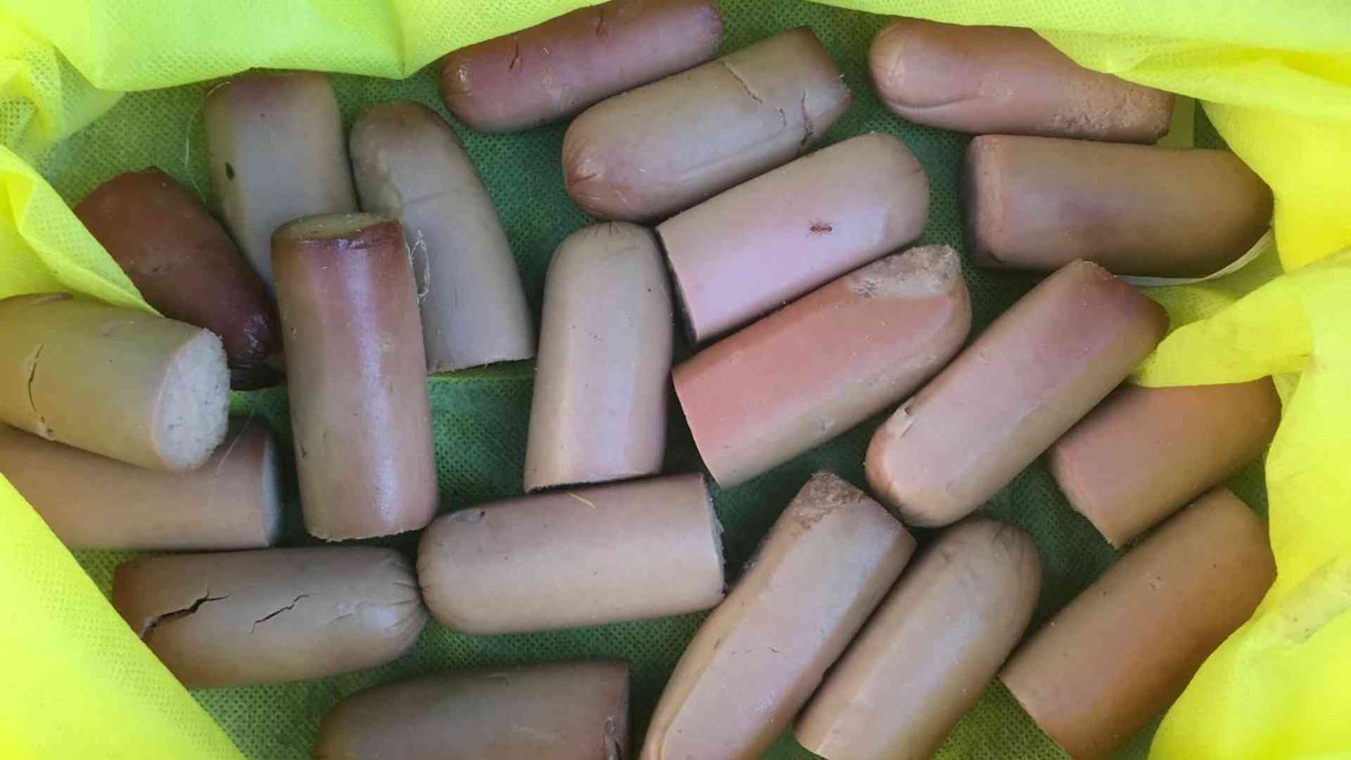 I sospetti bocconi avvelenati rinvenuti sul campo di gara per i cani