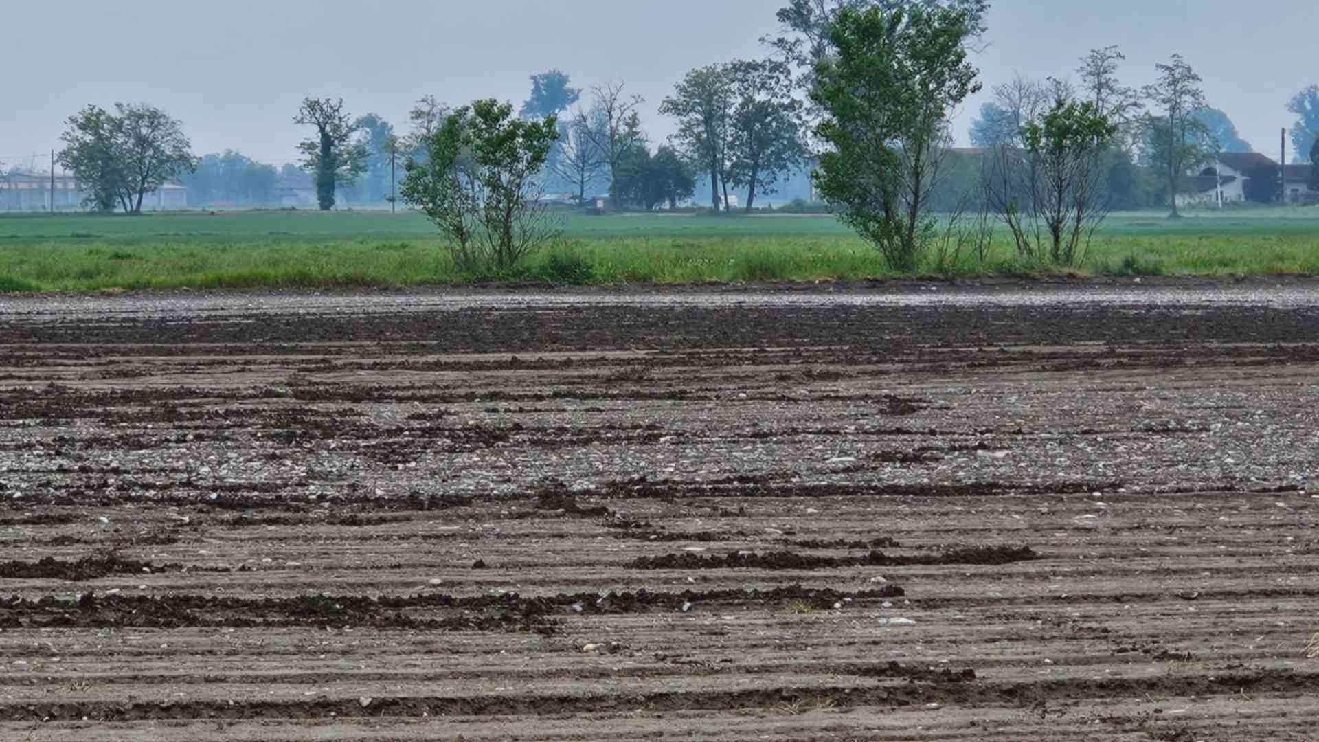 Prevenzione danni da fauna selvatica: il bando regionale