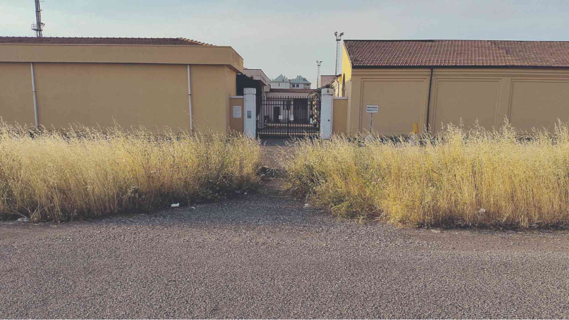 «Al cimitero di Sant'Antonio vegetazione fuori controllo»