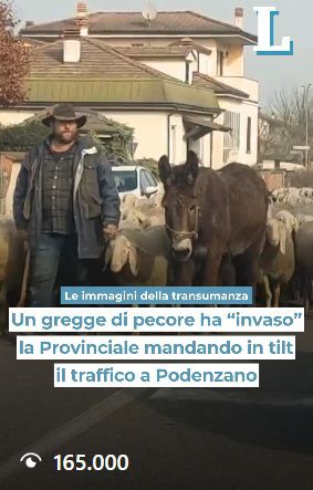 Screenshot reel più visti bagarotti