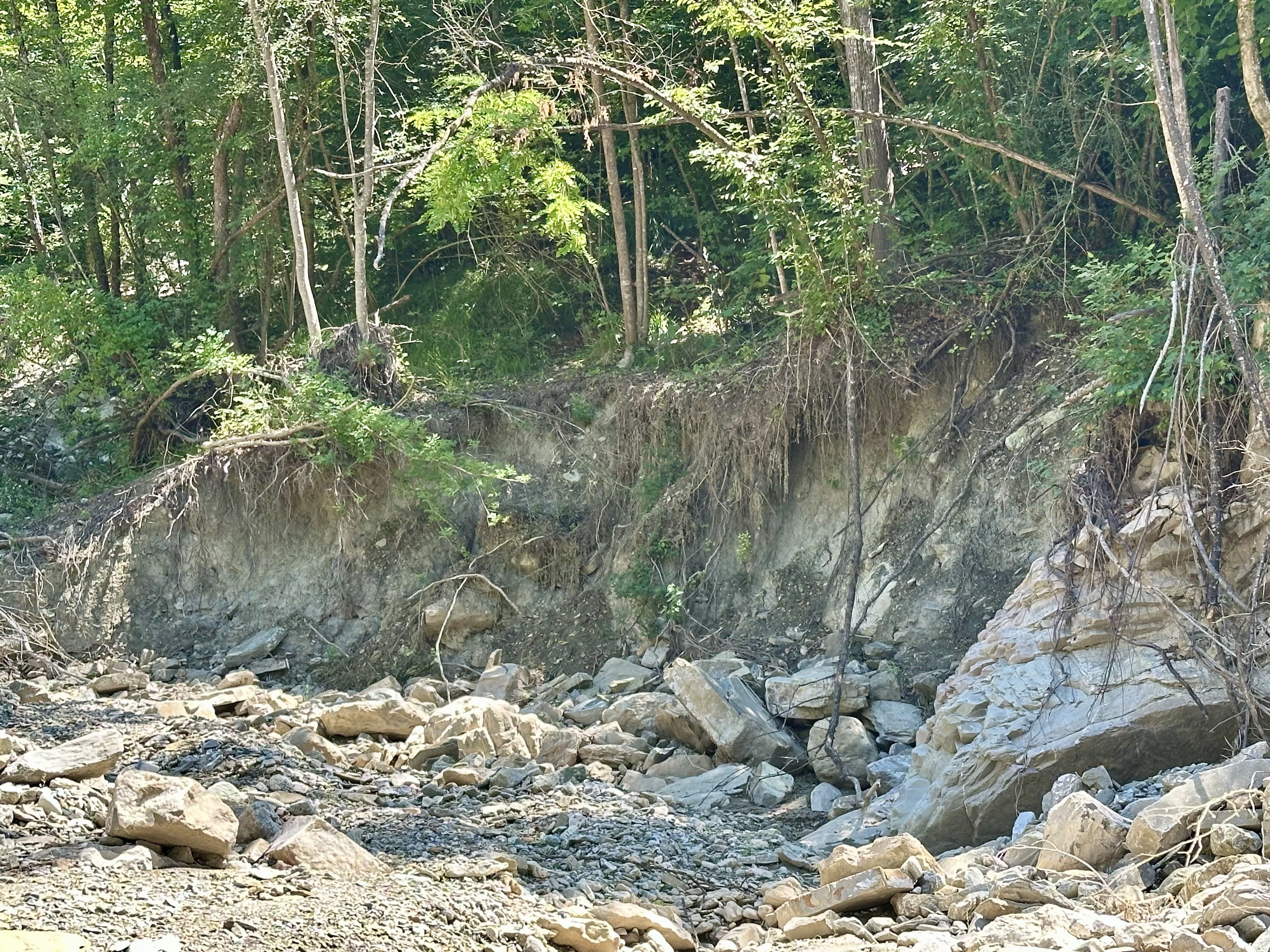 L'erosione della sponda del rio Fossato (foto Brusamonti)