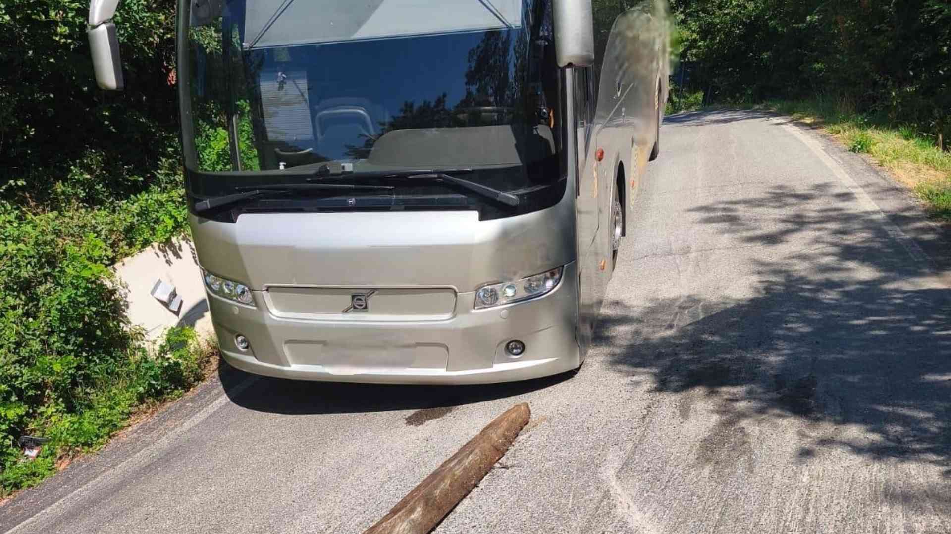 A Passo Colla, tra Gambaro e Selva, l’autista di un pullman turistico si è ingegnato ad utilizzare due pezzi di tronchi d’albero per sollevare il mezzo che, prima della salita, toccava l’asfalto col paraurti anteriore. E’ riuscito così a procedere