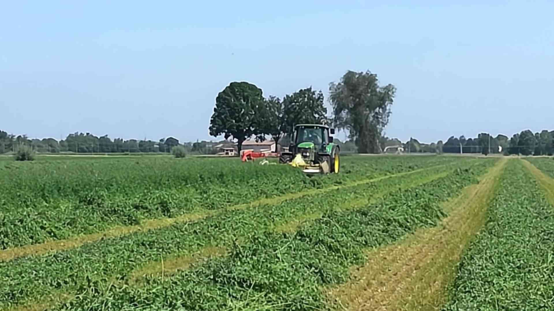 Tagli Ue, l'ira di Coldiretti: così si uccide l'agricoltura