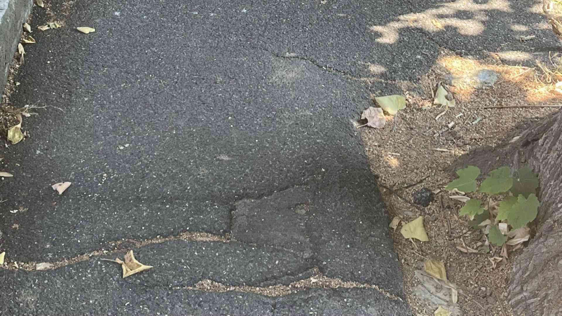 Via Morigi: «Sistemare strada e marciapiedi». L'appello dei residenti