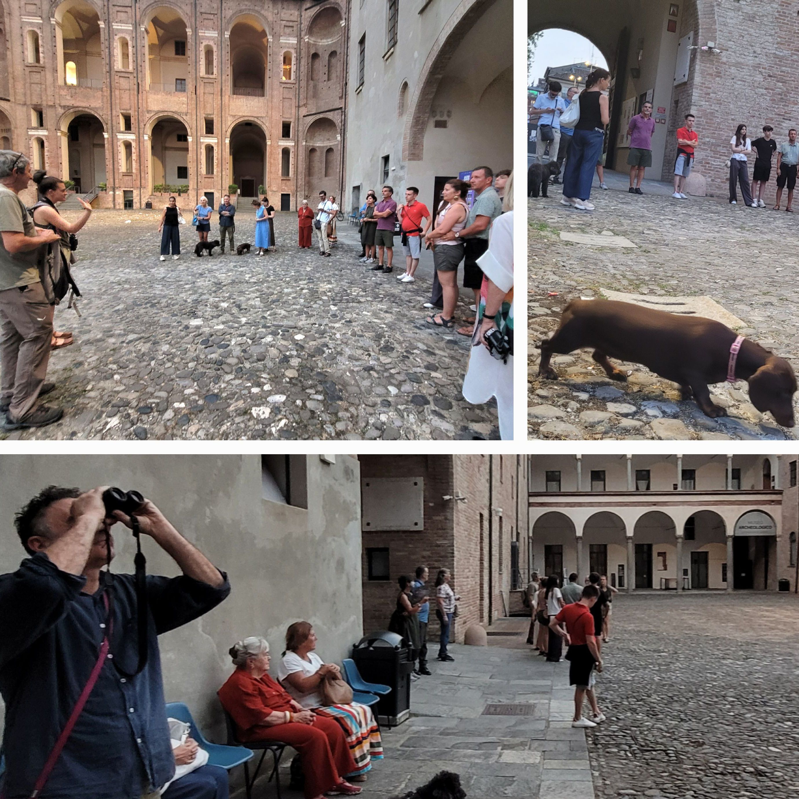 Foto visita notturna Farnese