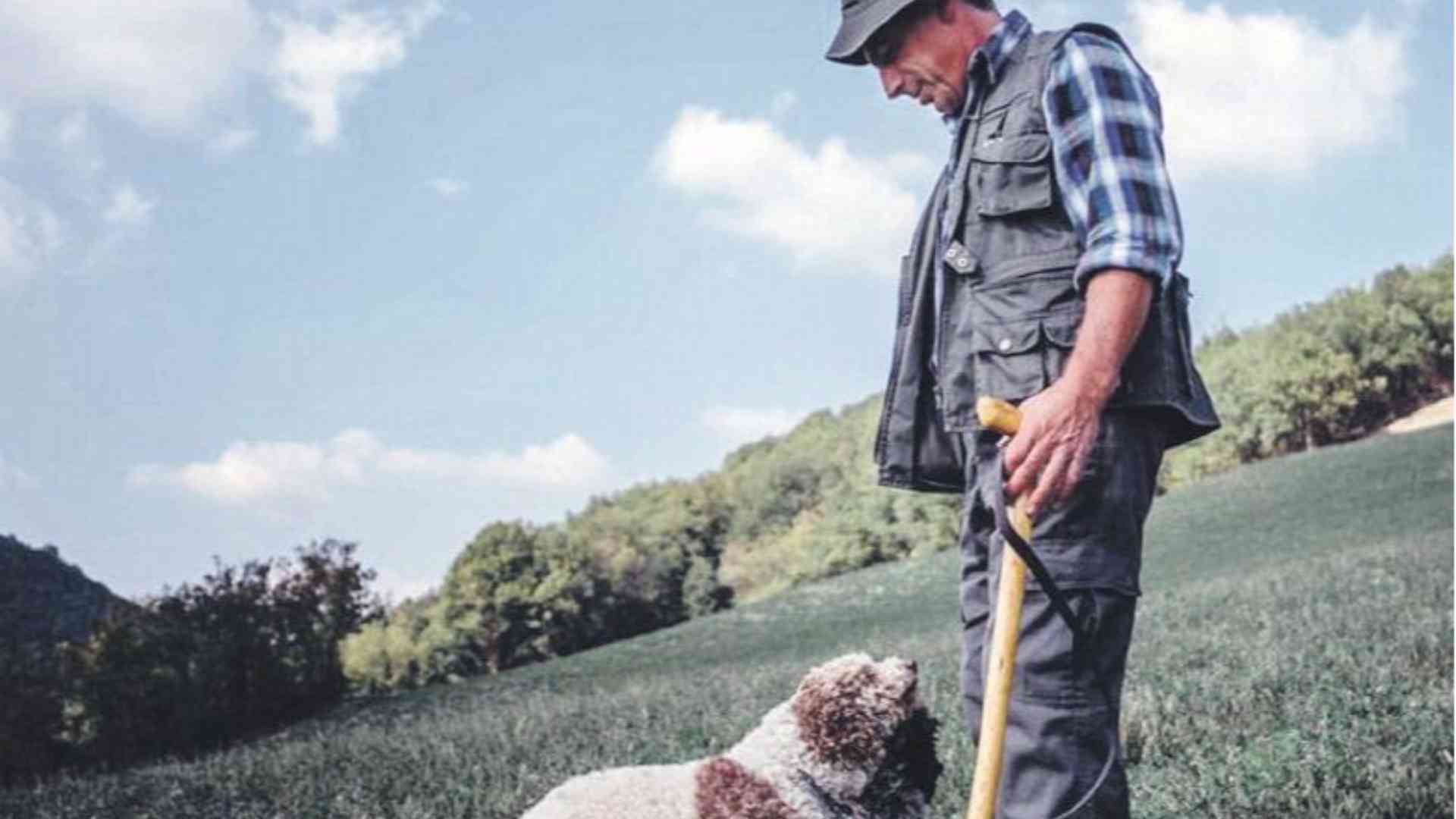 Tartufo, eccellenza piacentina tra passione e professionalità