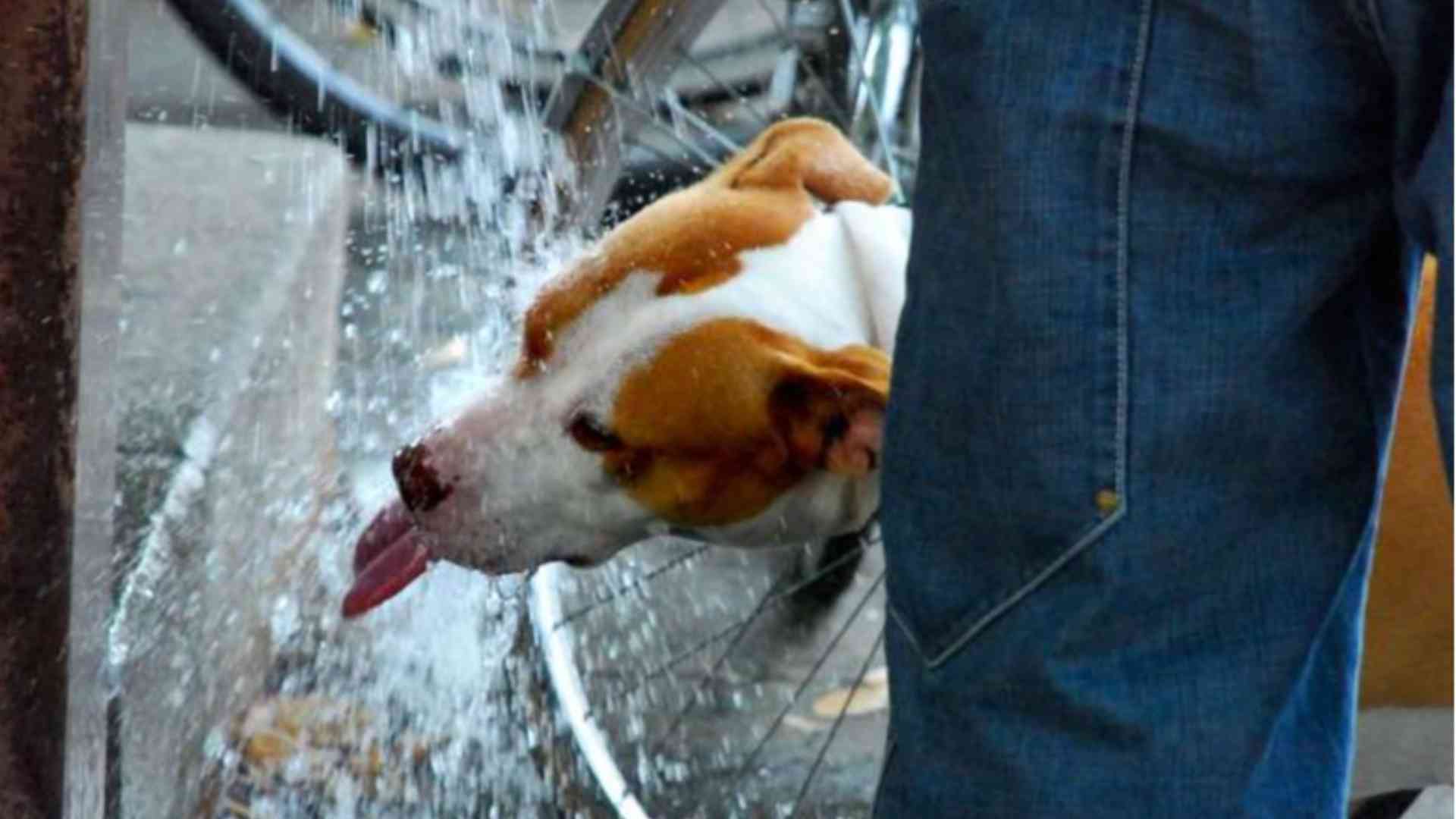 Disagio climatico, a Piacenza sono 36 i giorni di sofferenza