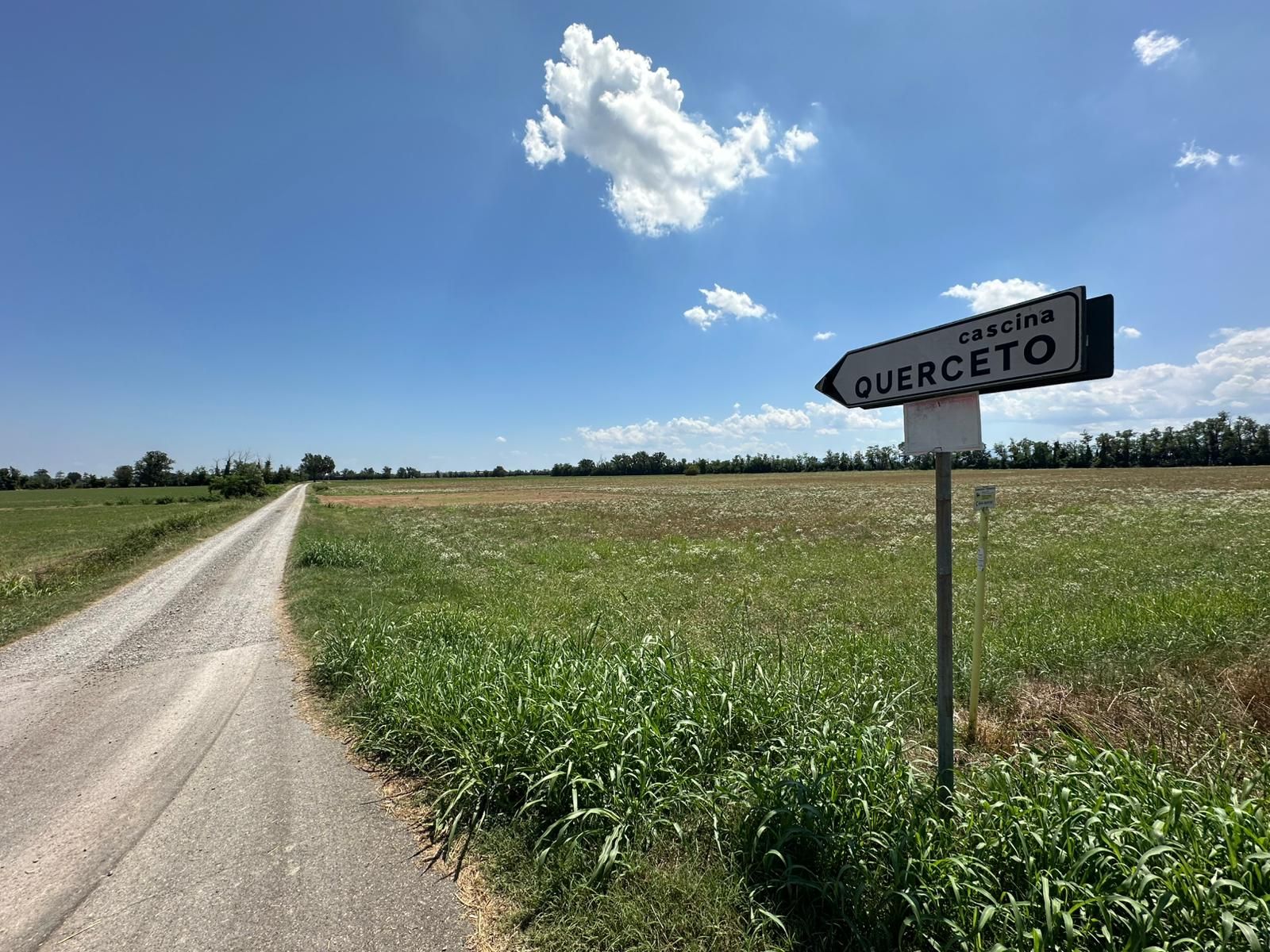 La strada dove è stata abbandonata l'auto