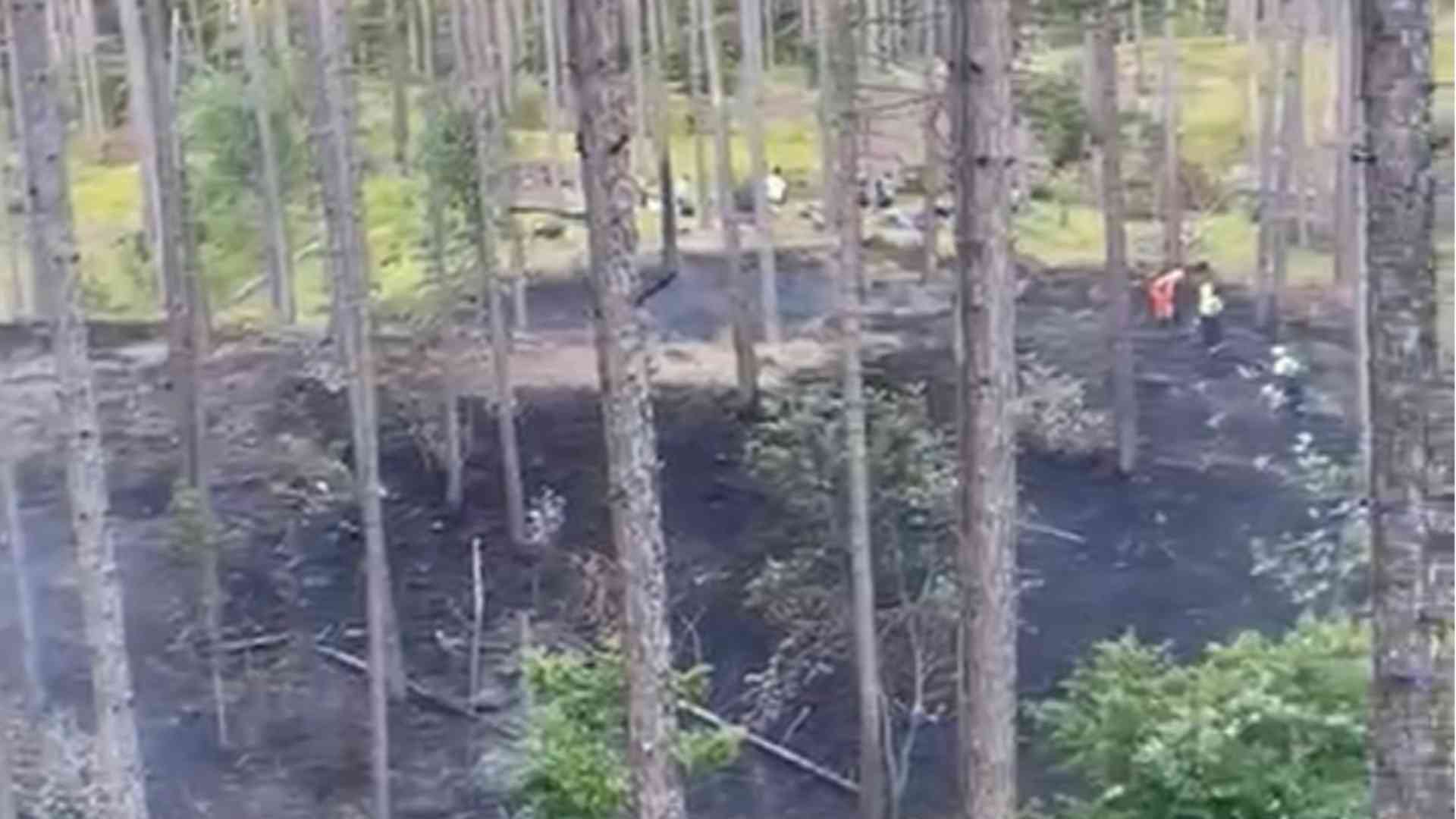 Incendio alla pineta di Coli, lambito un campo scout
