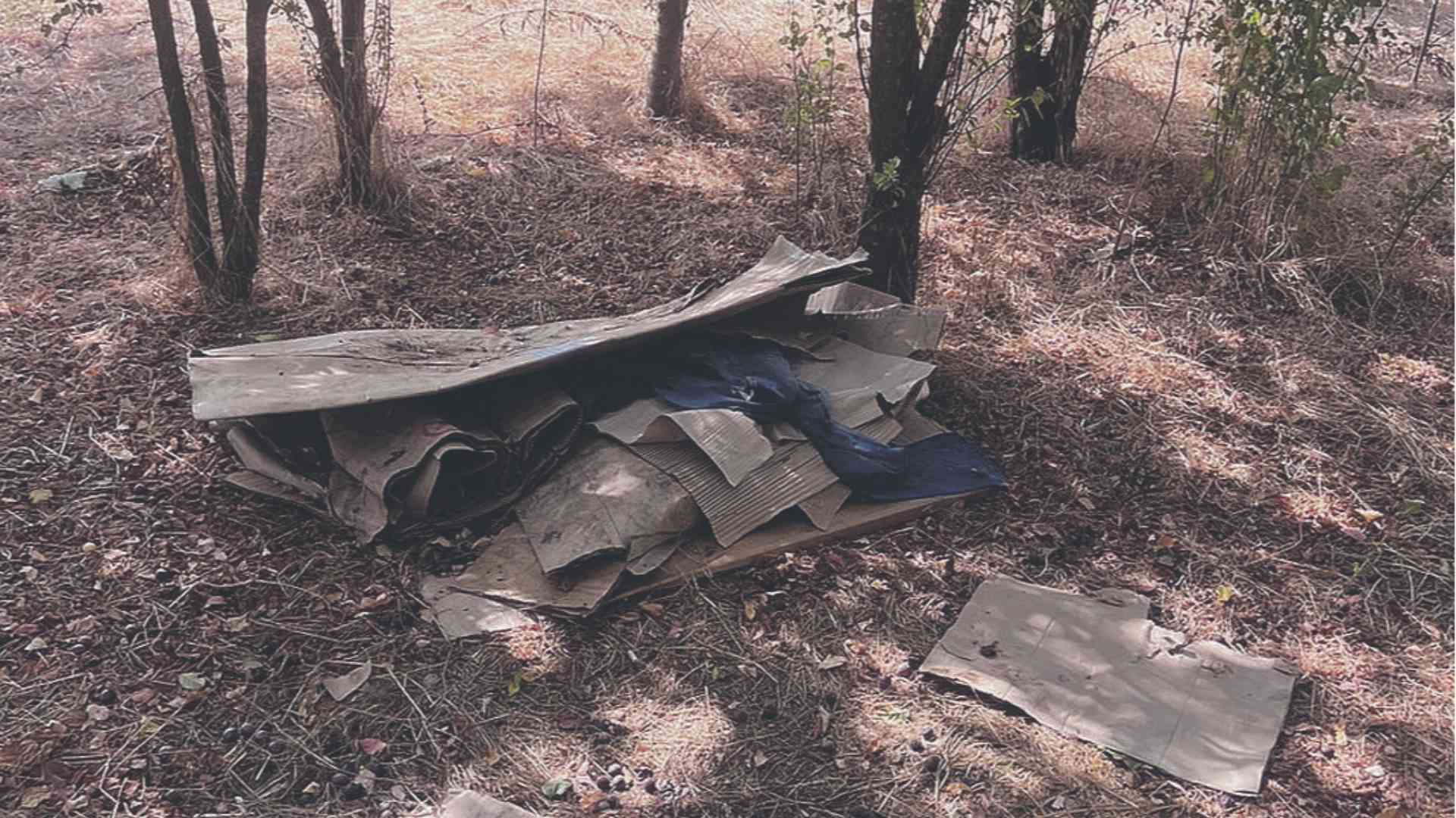 Allarme degrado in Corso Europa «Rifiuti, topi e carenze igieniche»