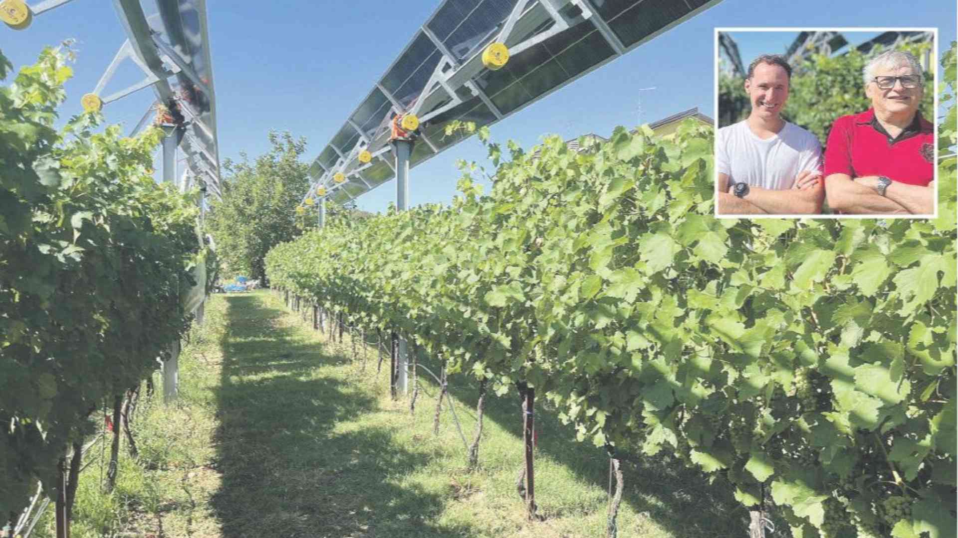 Una vigna che produce anche energia. Uso duale del terreno e nuove risorse