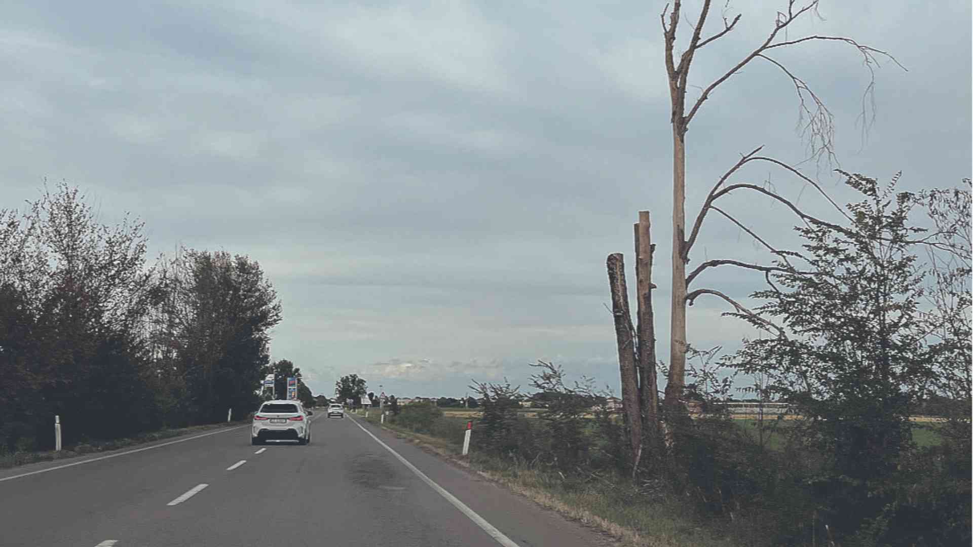 Caorso, la Protezione civile: «Vandali e piante pericolose»