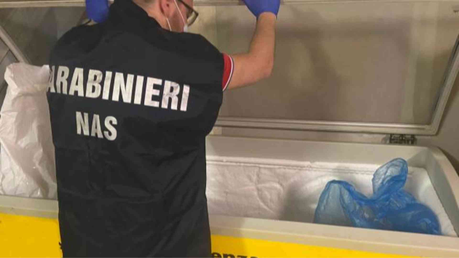 Sporco e ragnatele in magazzino, sanzionato un supermercato di Piacenza