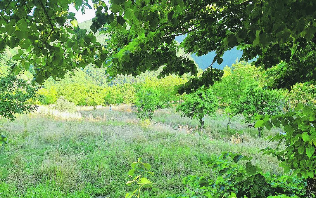 Il parco don Matteo