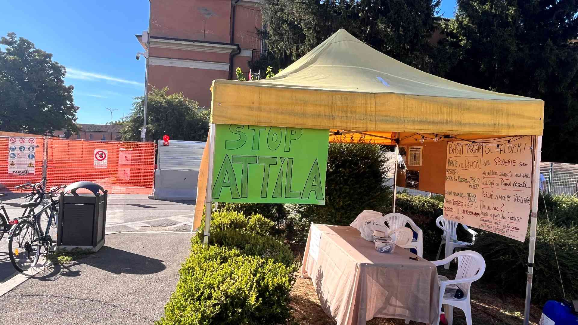 «Tagliare gli alberi alle ex Scuderie? Insistere è diabolico»