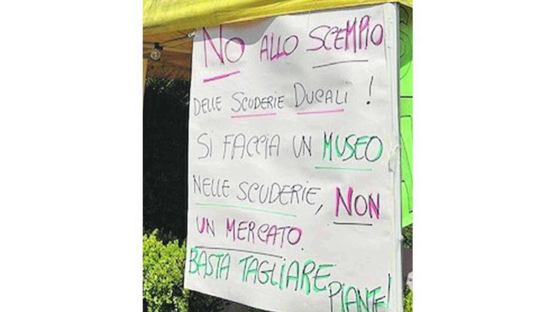 Taglio degli abeti per le Scuderie, in arrivo una petizione