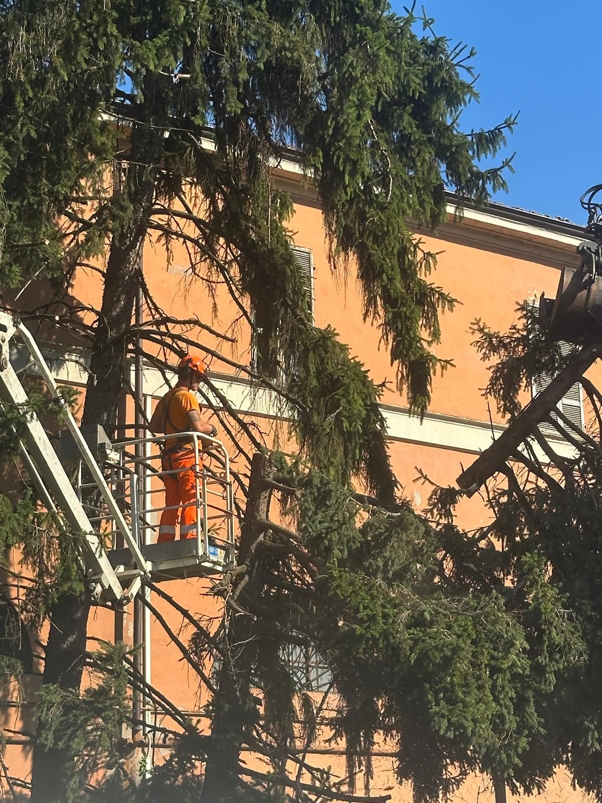foto Marco Grisoli