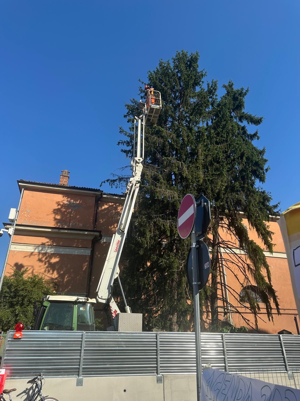 foto Marco Grisoli
