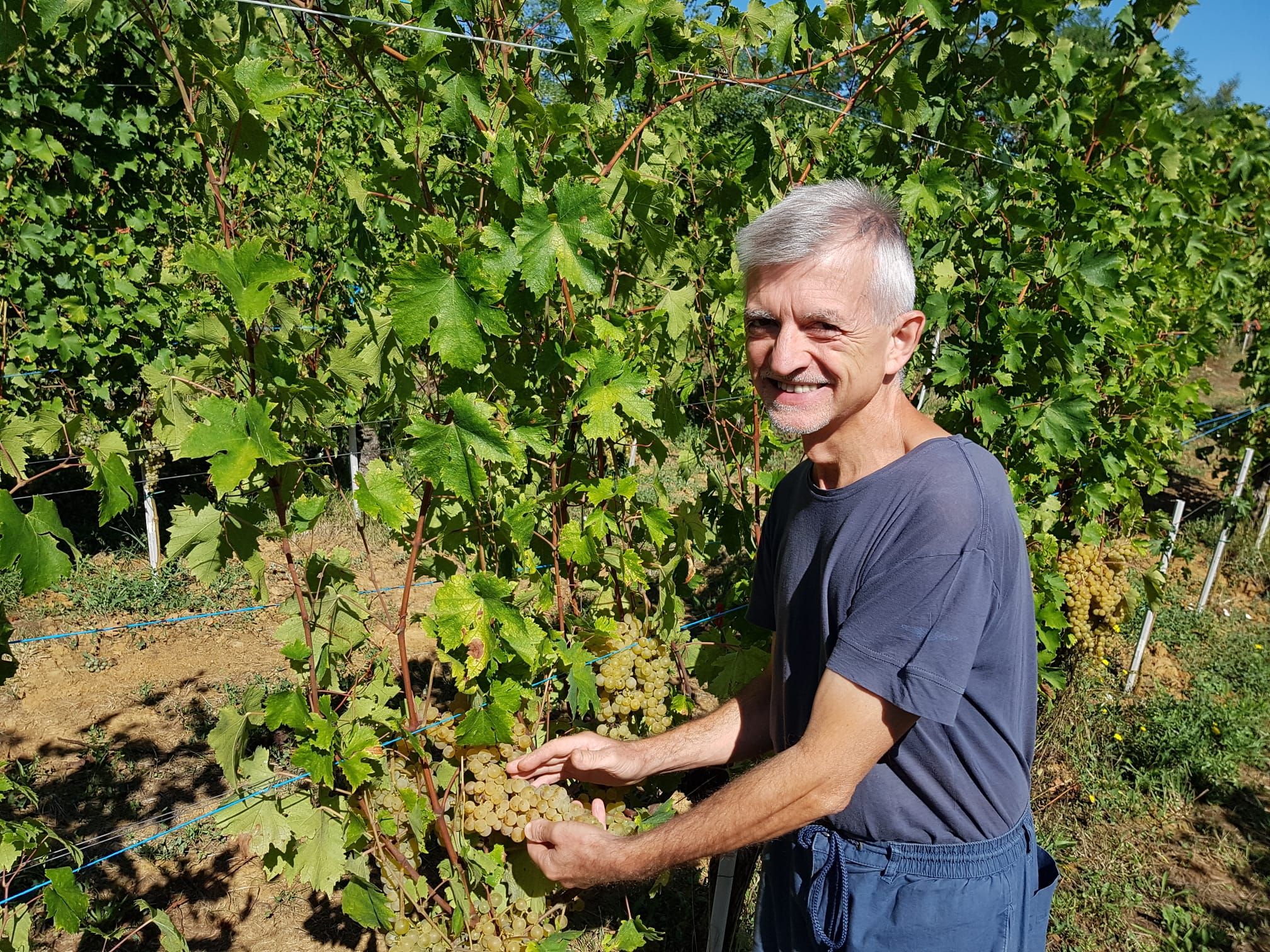 Stefano Pizzamiglio, presidente della sezione di prodotto vitivinicola di Confagricoltura Piacenza