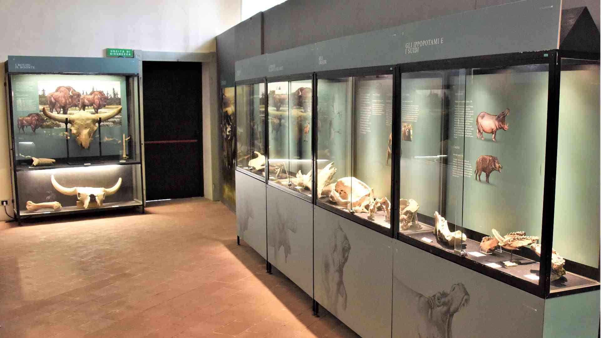 Rete Mapp dei Musei Archeologici Piacentini, entra Castell'Arquato