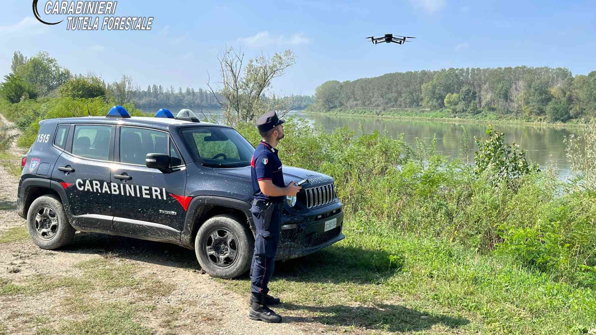 Deflusso minimo vitale, i Forestali scoprono prelievi non regolari