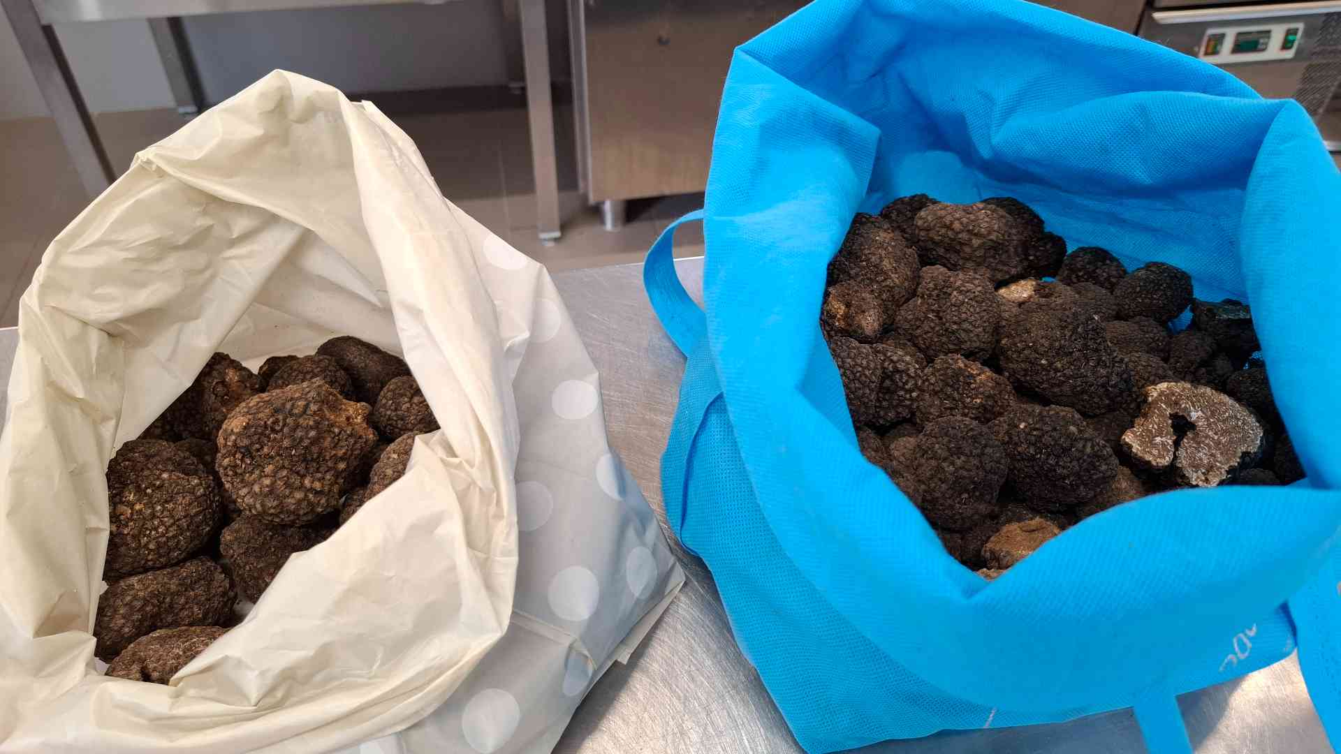 Tartufi, raccolti 500 chili. «Ora la stagione rallenta»