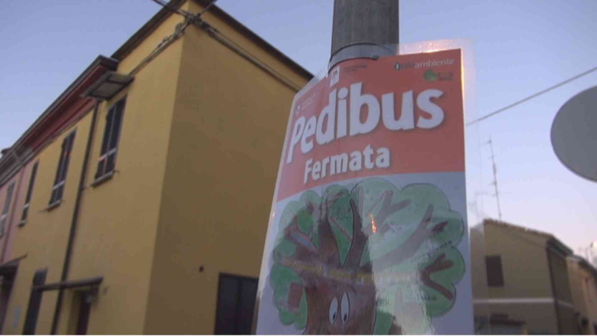Salute e attività fisica, contributi per le scuole
