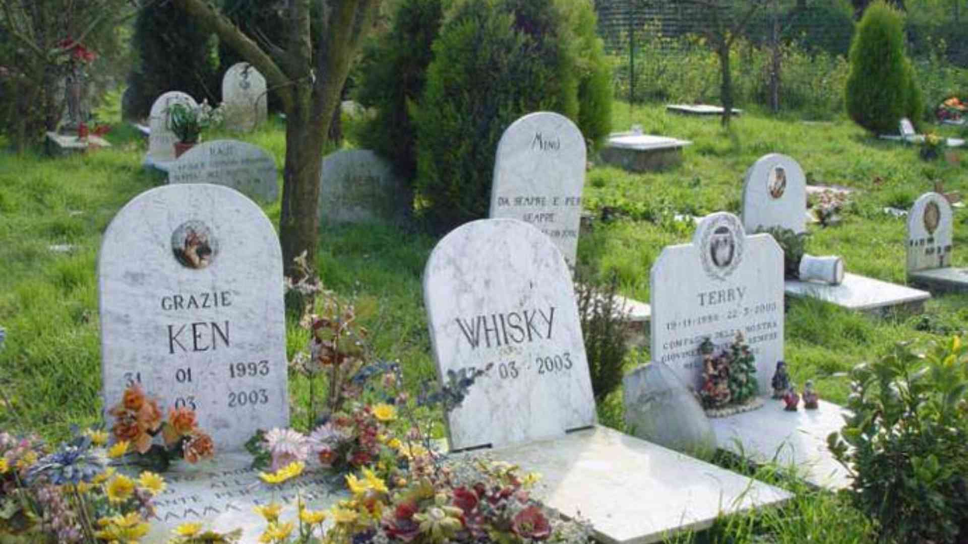 Idea cimitero per animali, tra inceneritore e "Parco del ricordo"