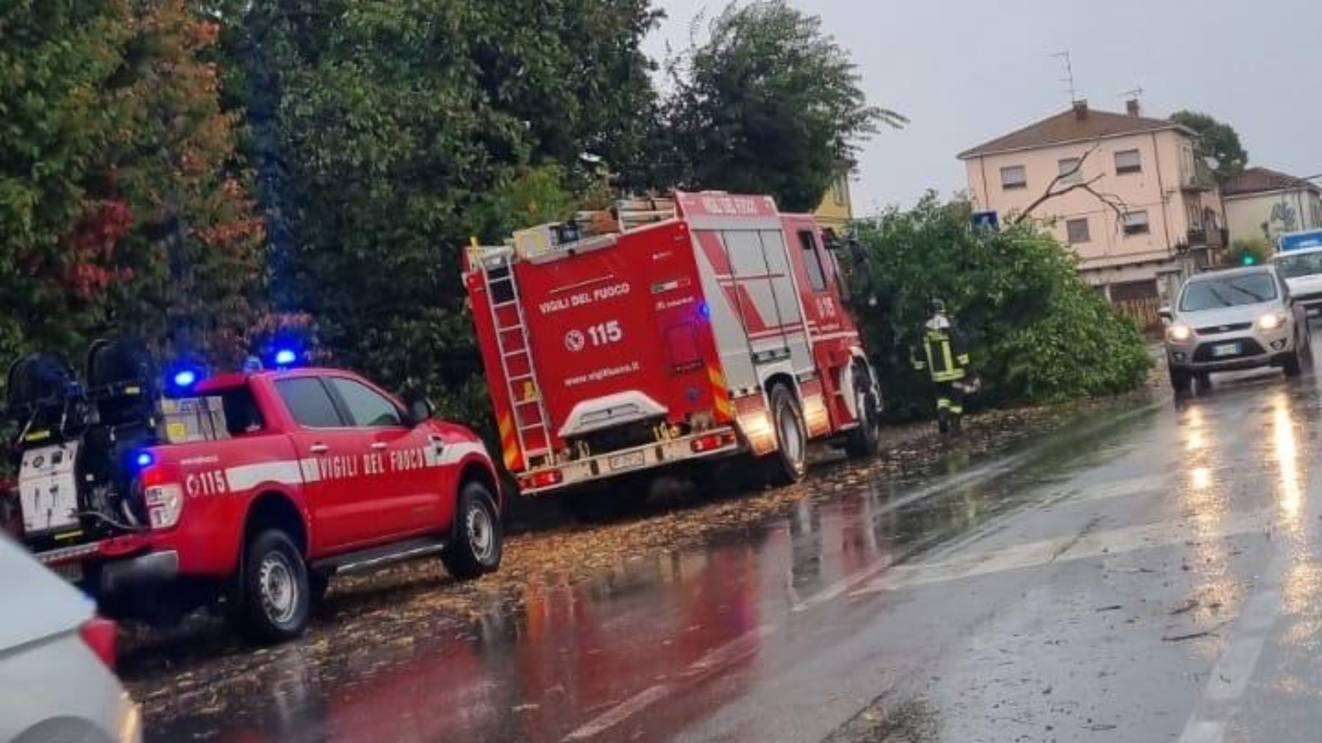 Maltempo, alberi e rami caduti in strada a Castelvetro
