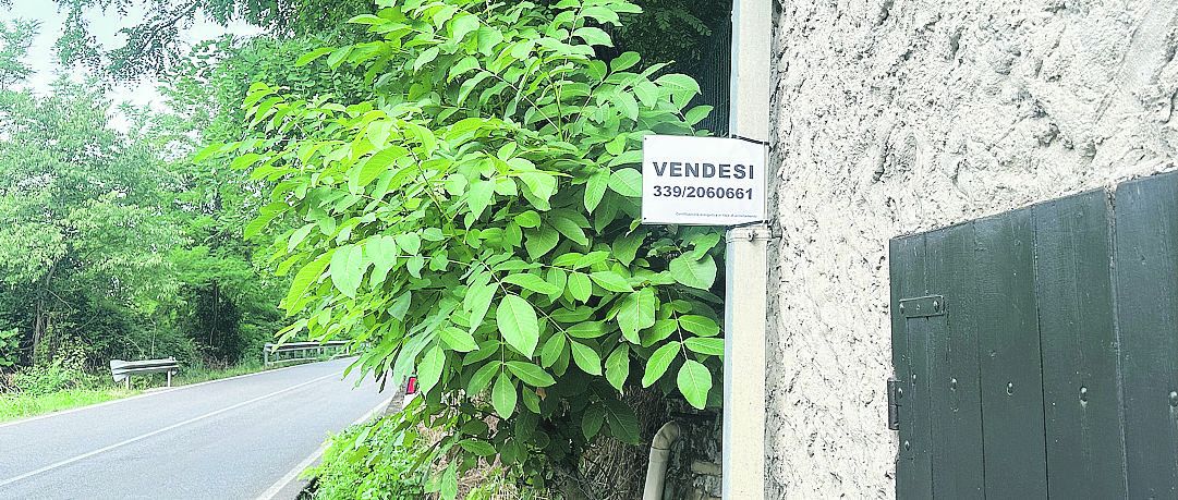 Alcune delle case in vendita