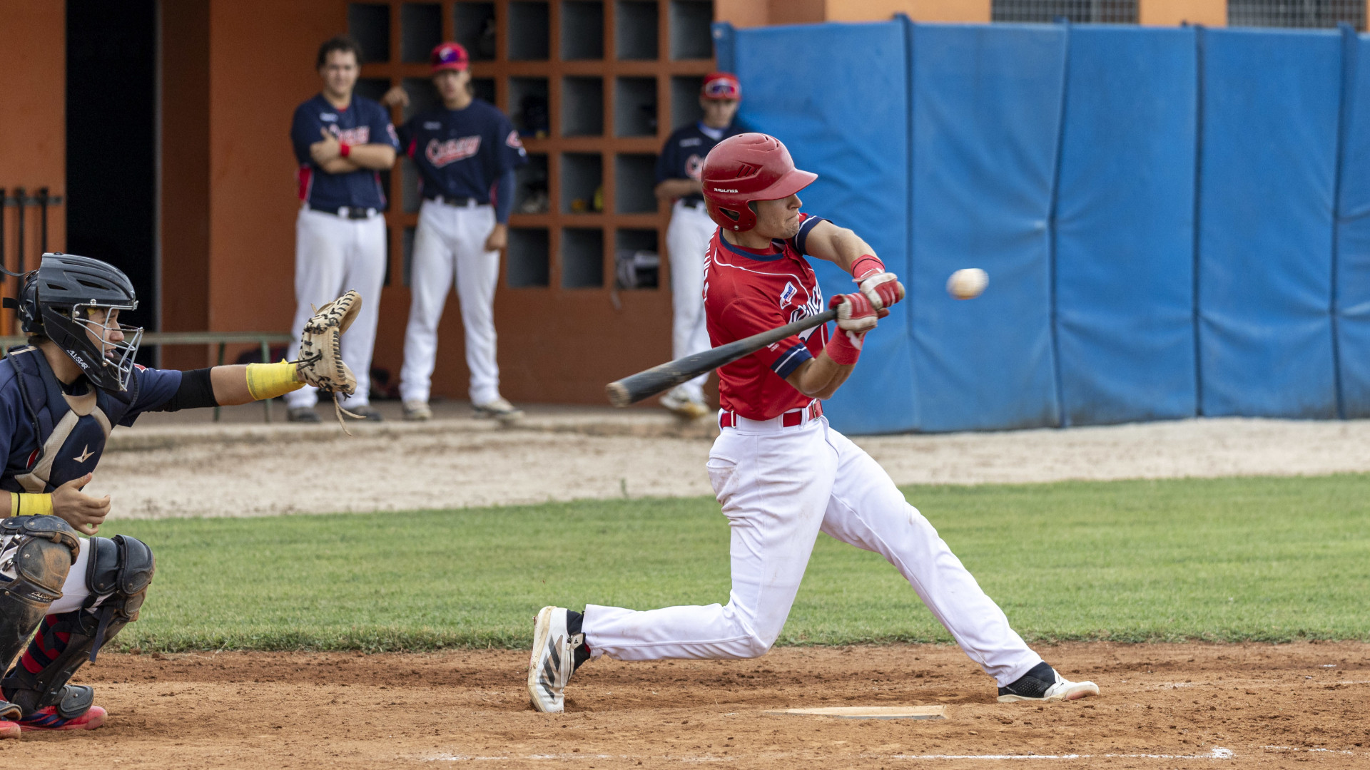 Il Piacenza Baseball sfiora l'impresa, ma esulta la San Bonifacese