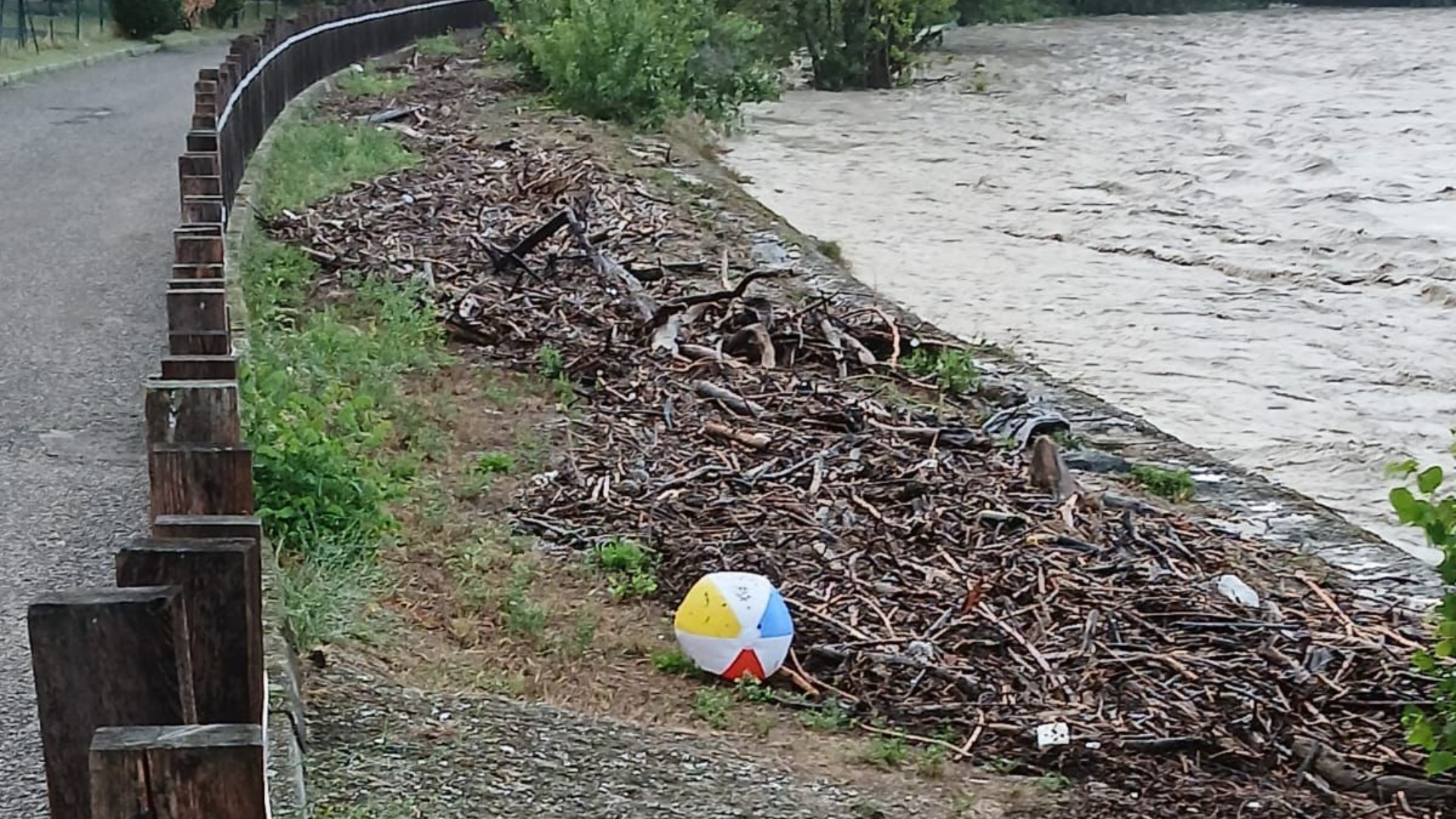 Maltempo, passa la piena del Trebbia. Sponde ricoperte di legname