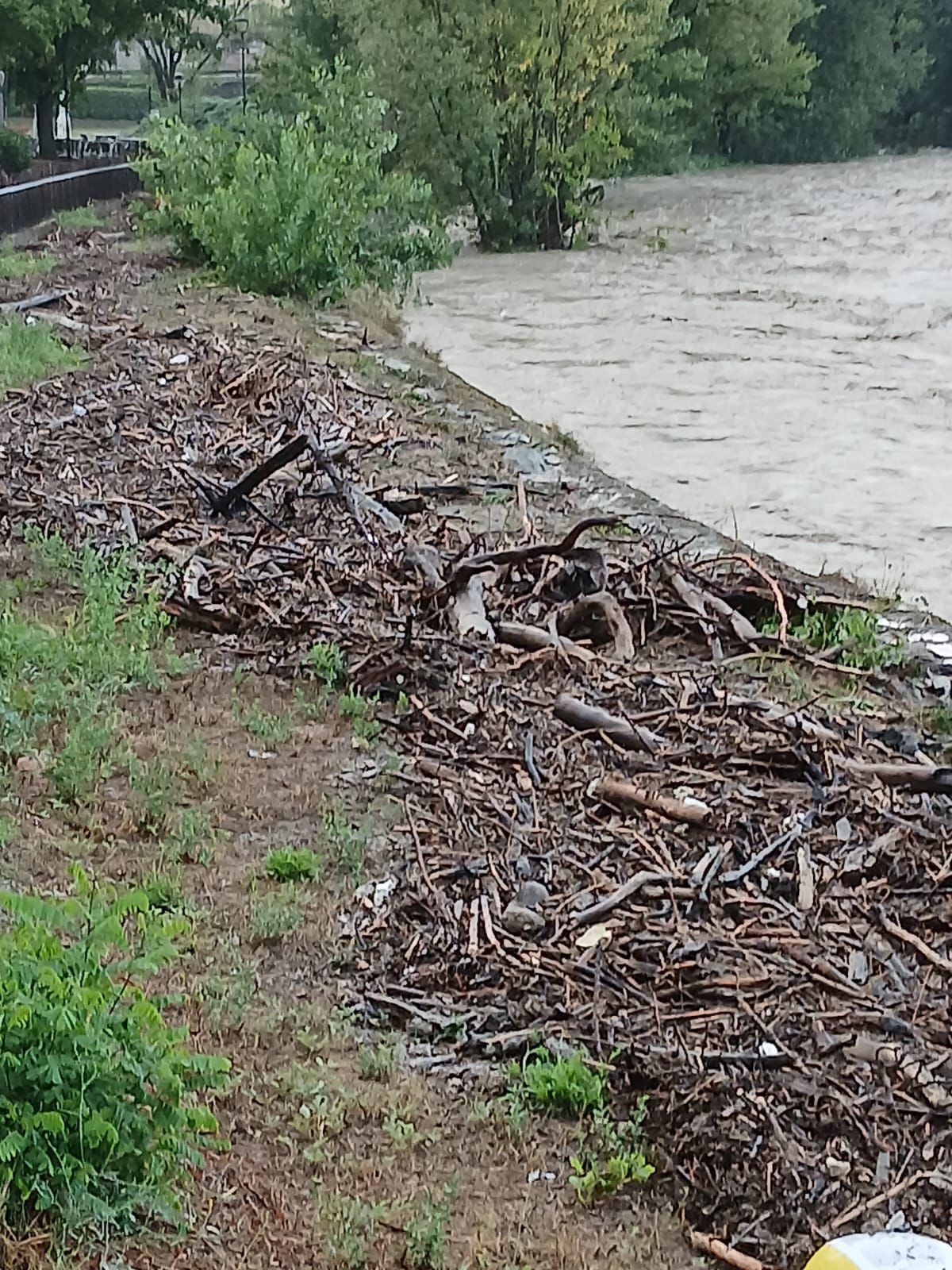 Le sponde del Trebbia a Rivergaro cosparse di legname trascinato dalla piena
