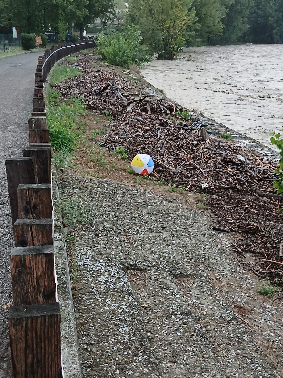 Le sponde del Trebbia a Rivergaro cosparse di legname trascinato dalla piena