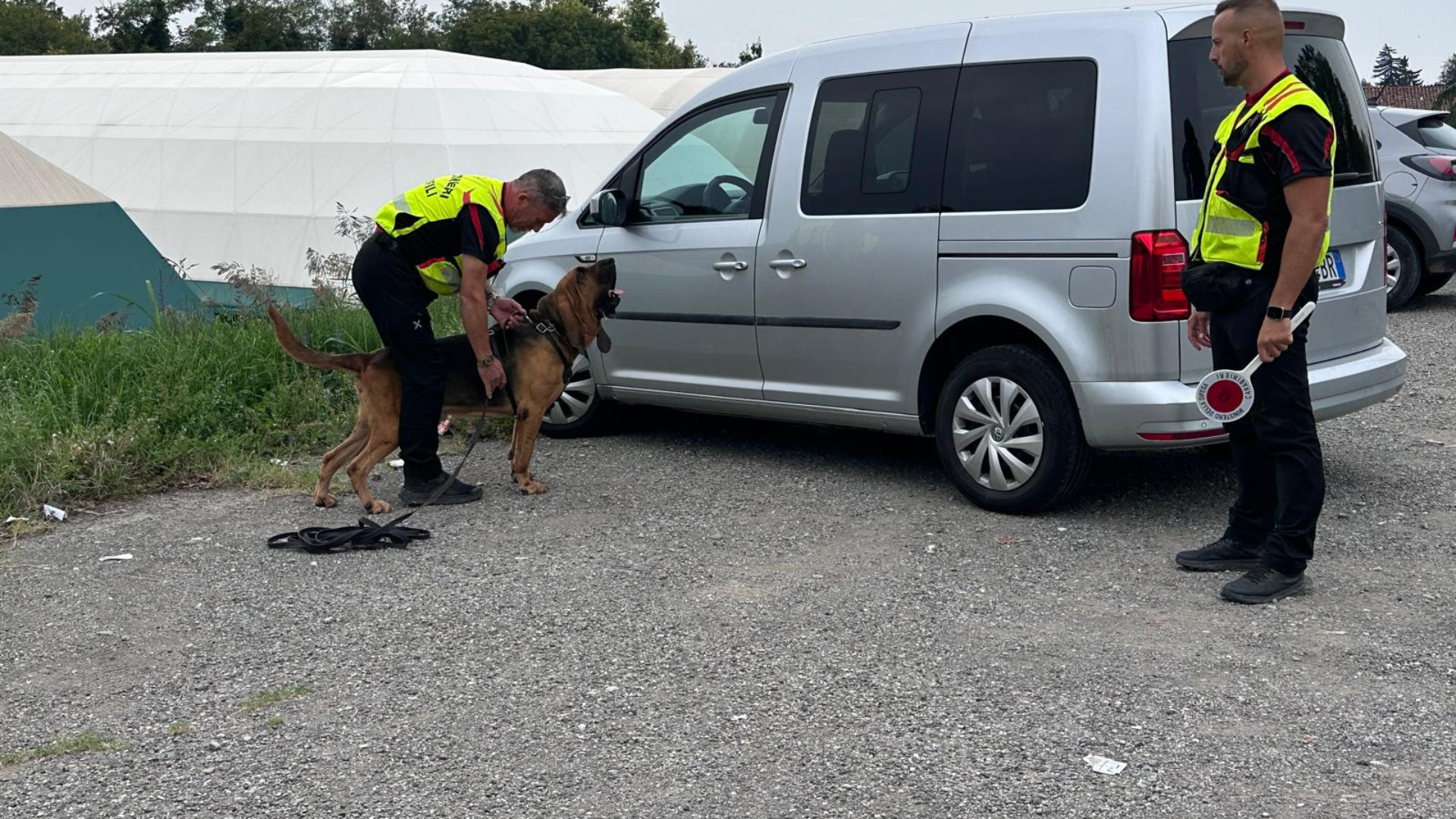 Uno dei cani molecolari impiegati per le ricerche dell'uomo scomparso