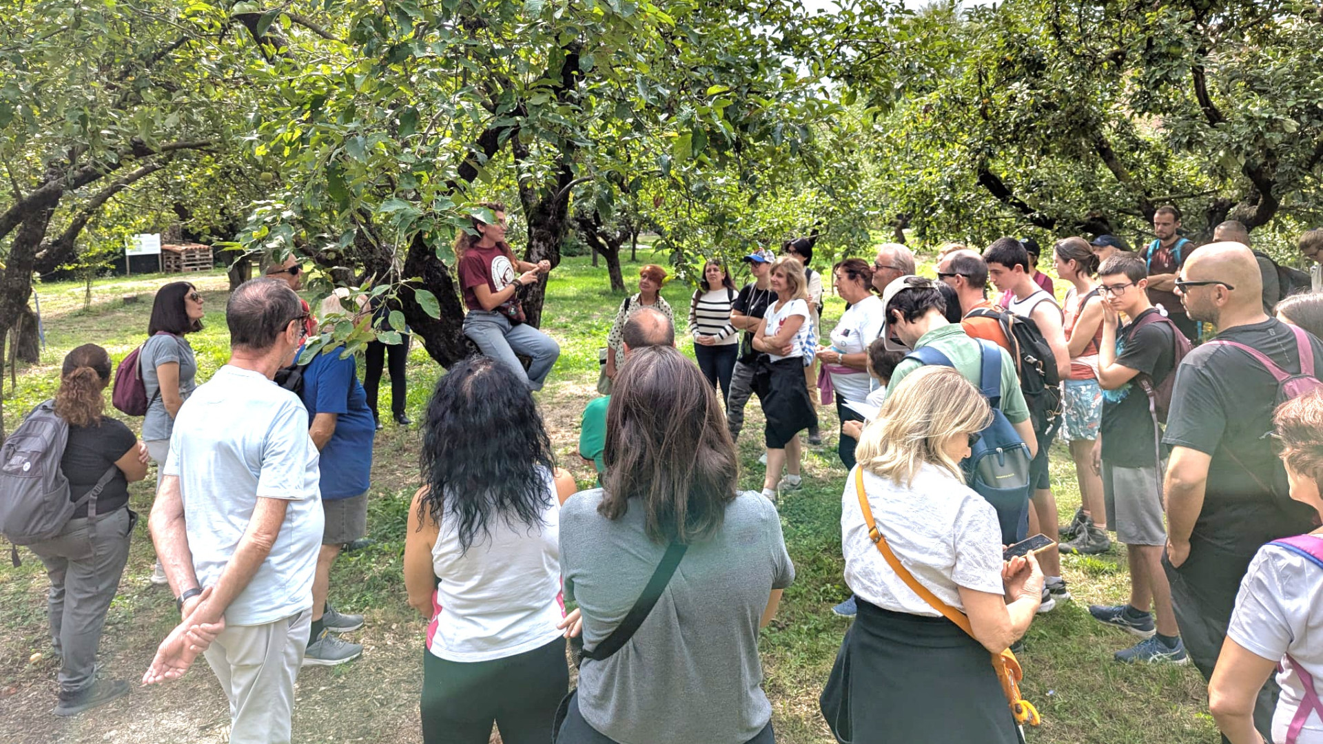 Orti di Santa Maria di Campagna, gestione Cosmonauti confermata