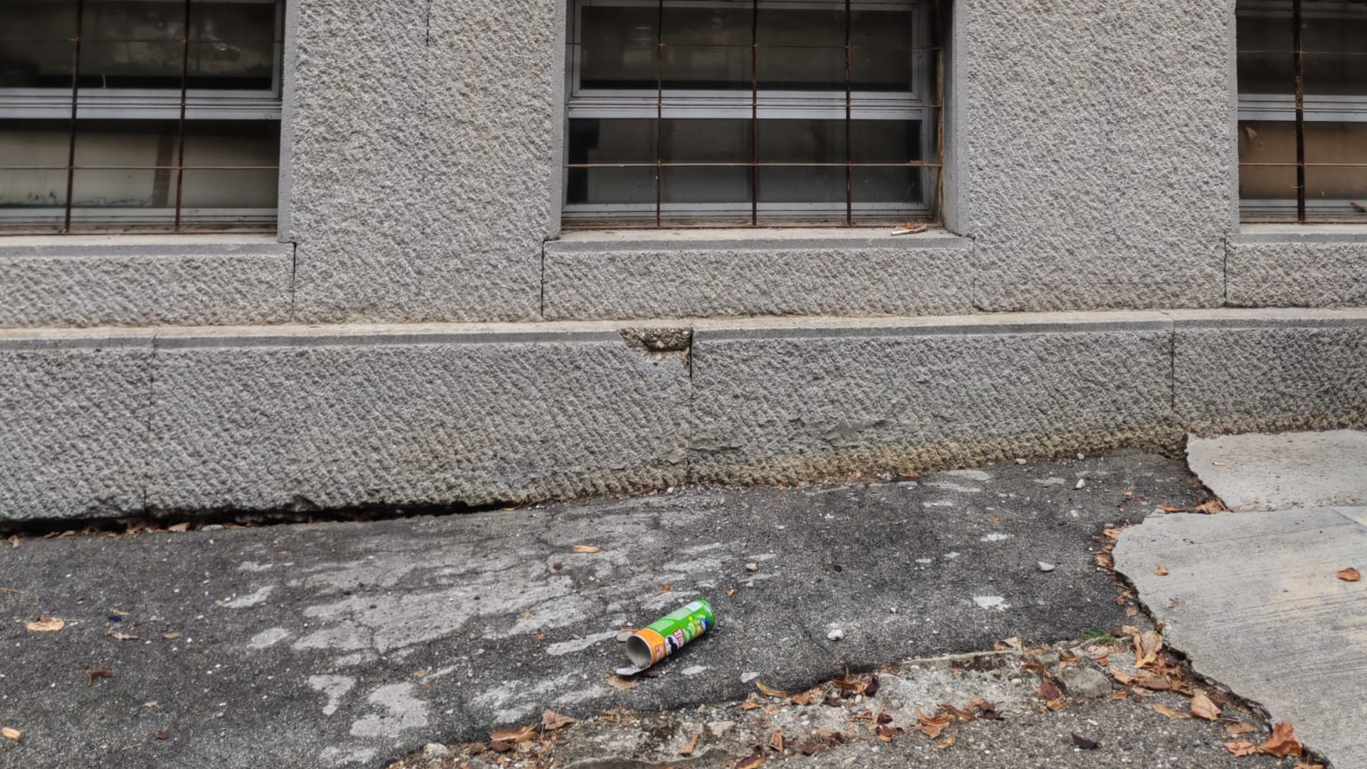 Baby vandali a Borgonovo, la sindaca li coglie sul fatto