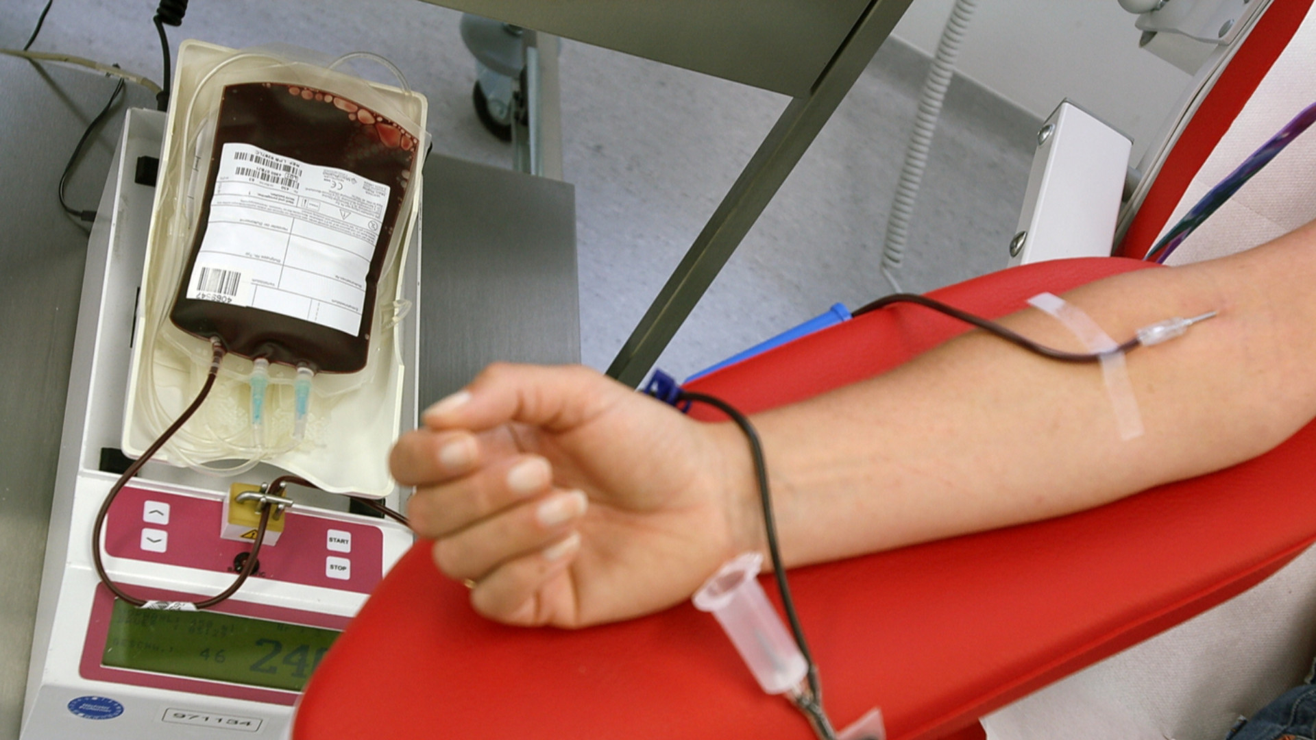 Avis, sabato i premi a 309 donatori: «Grazie a loro trasfusioni garantite»