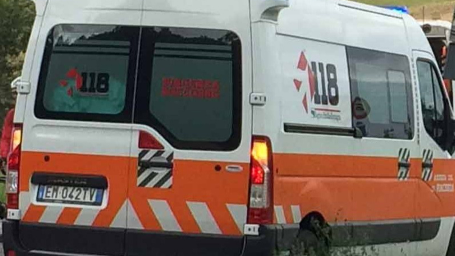 Due uomini attaccati da un centinaio di vespe a Tuna