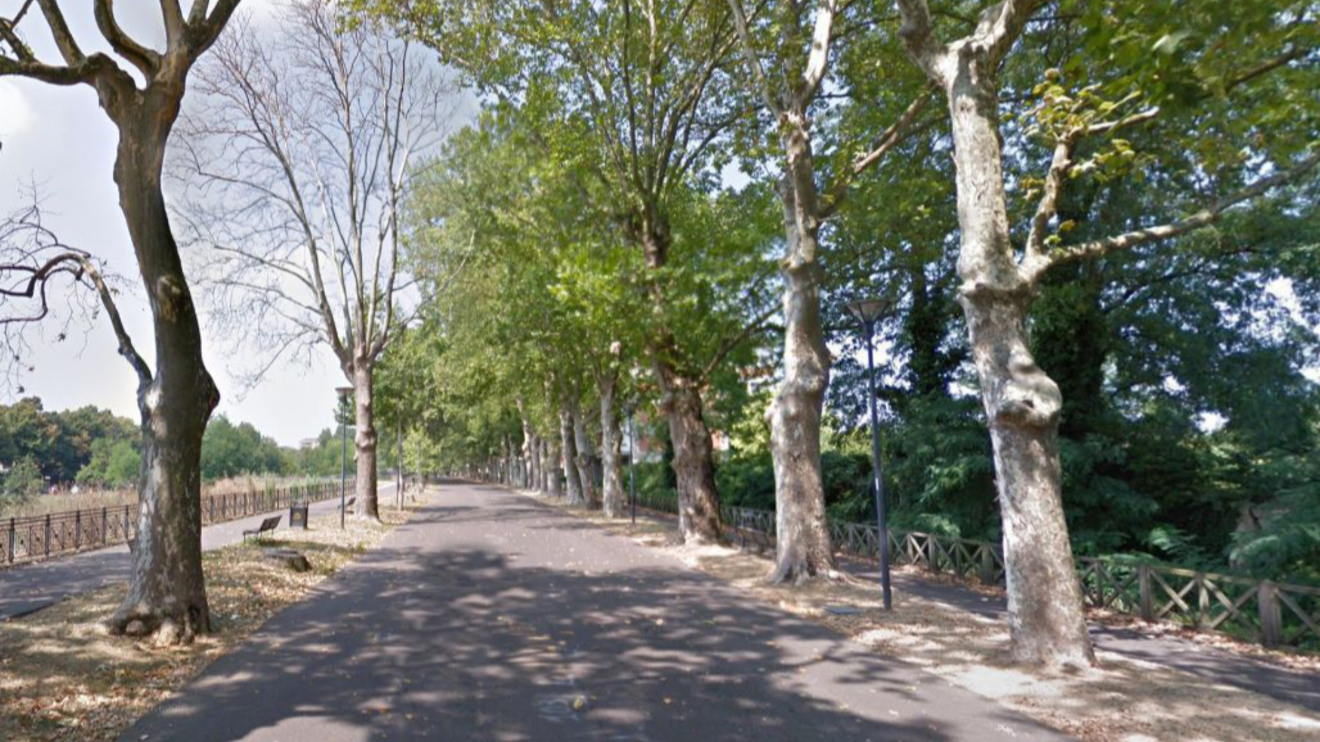 Stabilità a rischio per cinque alberi, necessario l’abbattimento