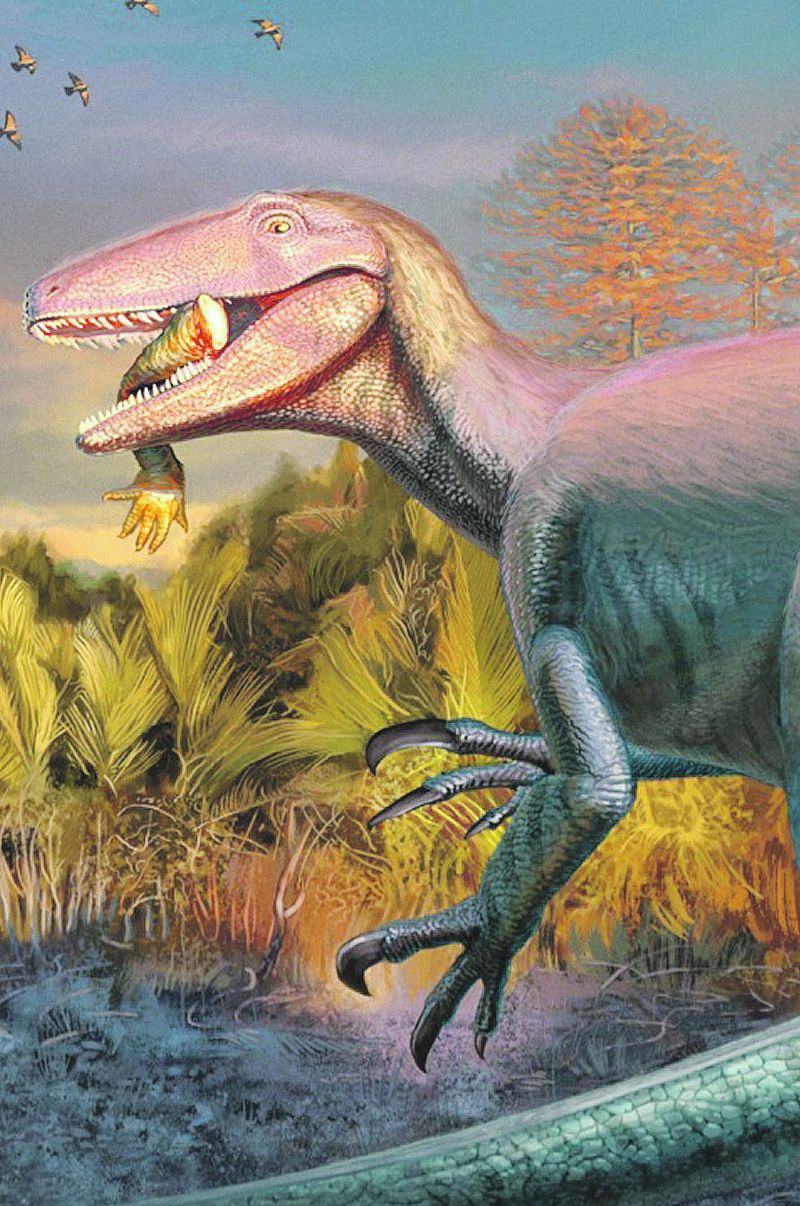 La ricostruzione (di Andrew Mcafee) del mega Raptor scoperto e in Argentina con una zampa di coccodrillo nella bocca